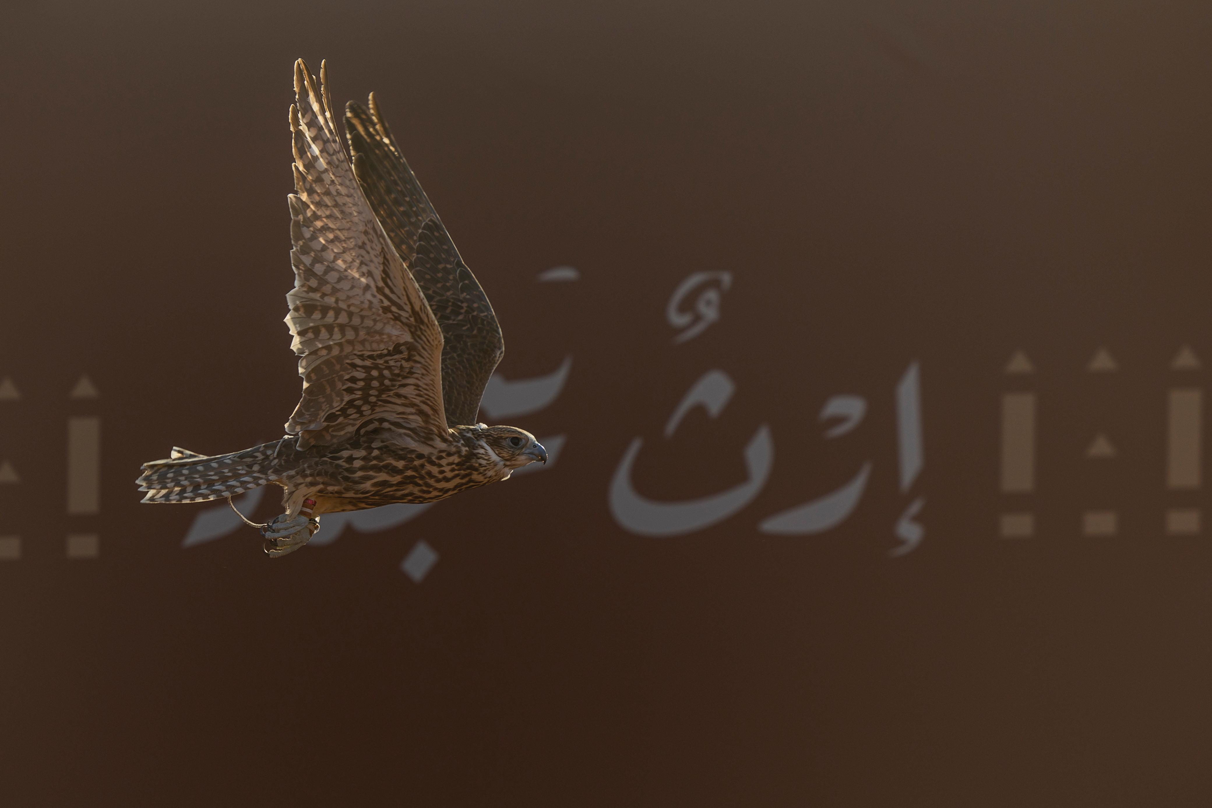 news-details-image