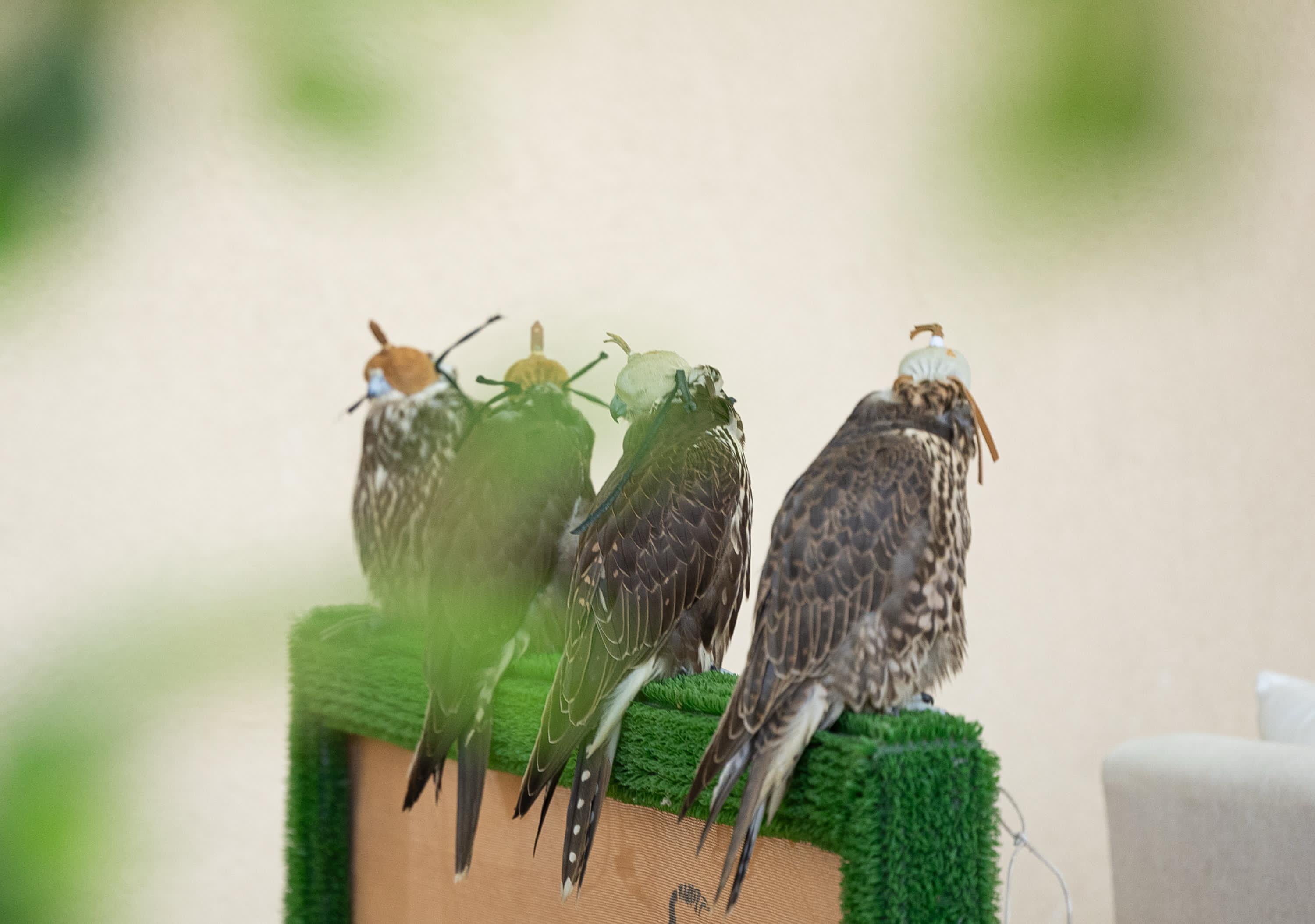 news-details-image