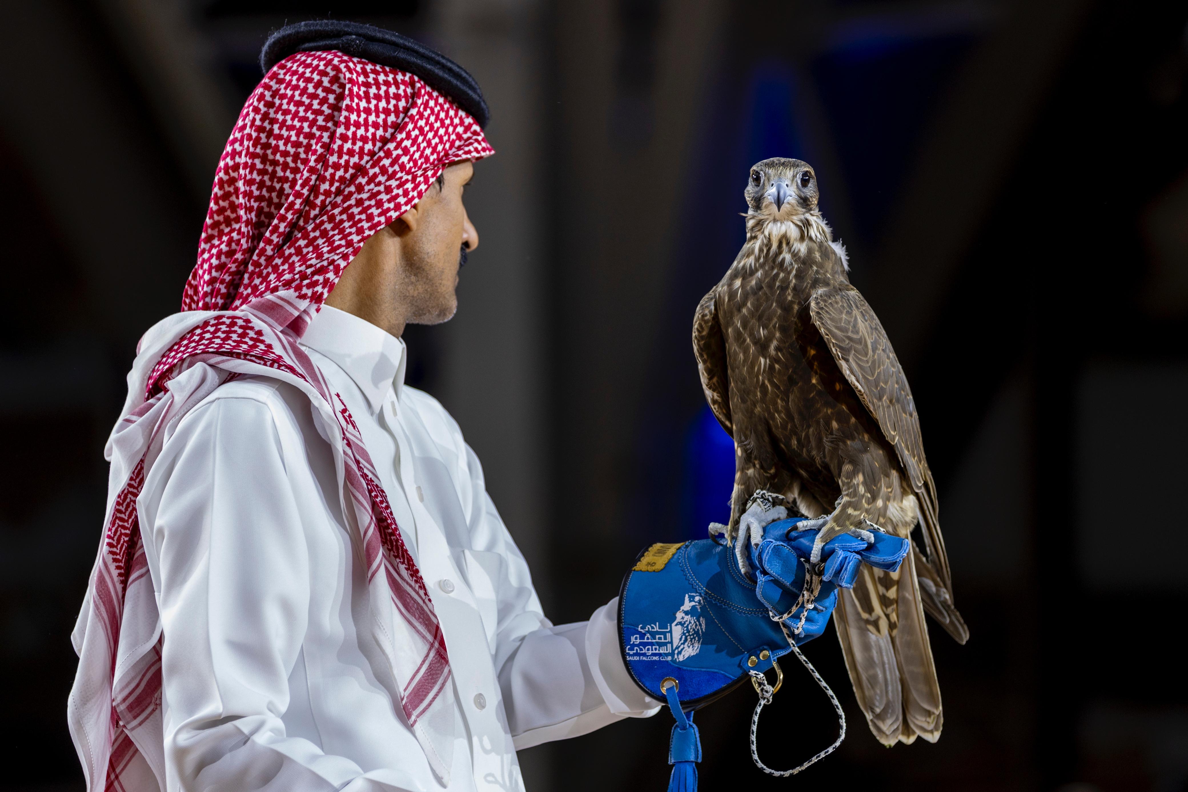 بيع أغلى صقر منغولي بـ 650 ألف ريال في معرض الصقور والصيد السعودي الدولي 2025