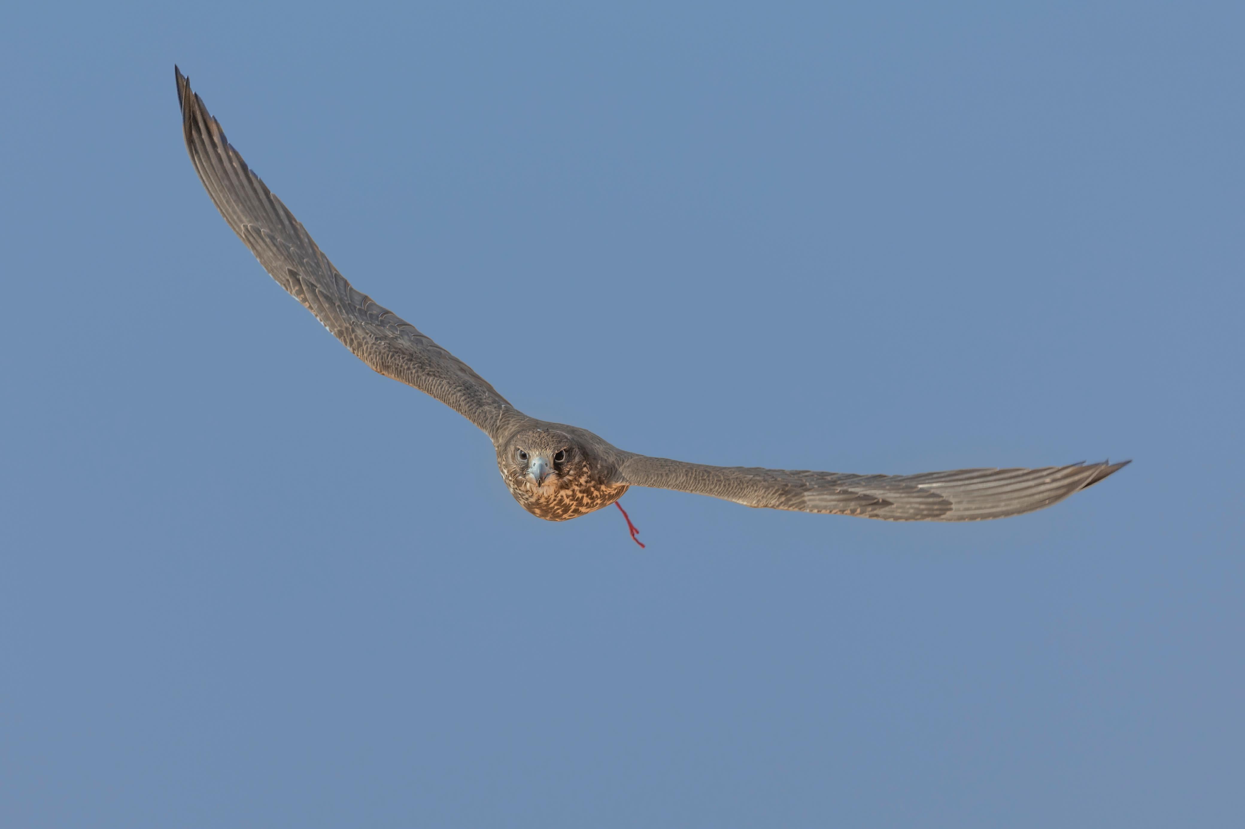 news-details-image