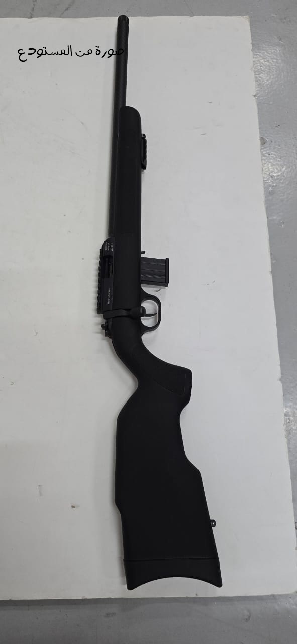DIANA R-22 Carbon  .22lr Sporting