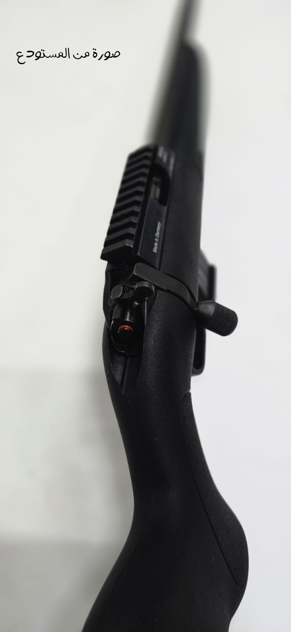 DIANA R-22 Carbon  .22lr Sporting