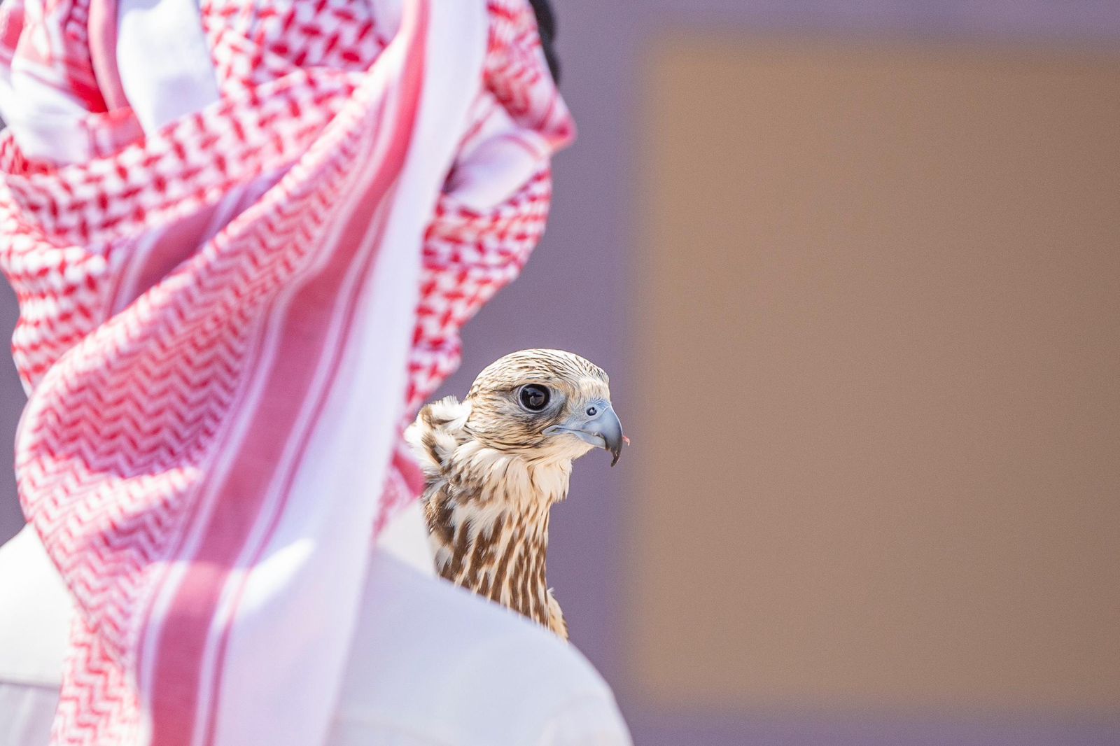 news-details-image