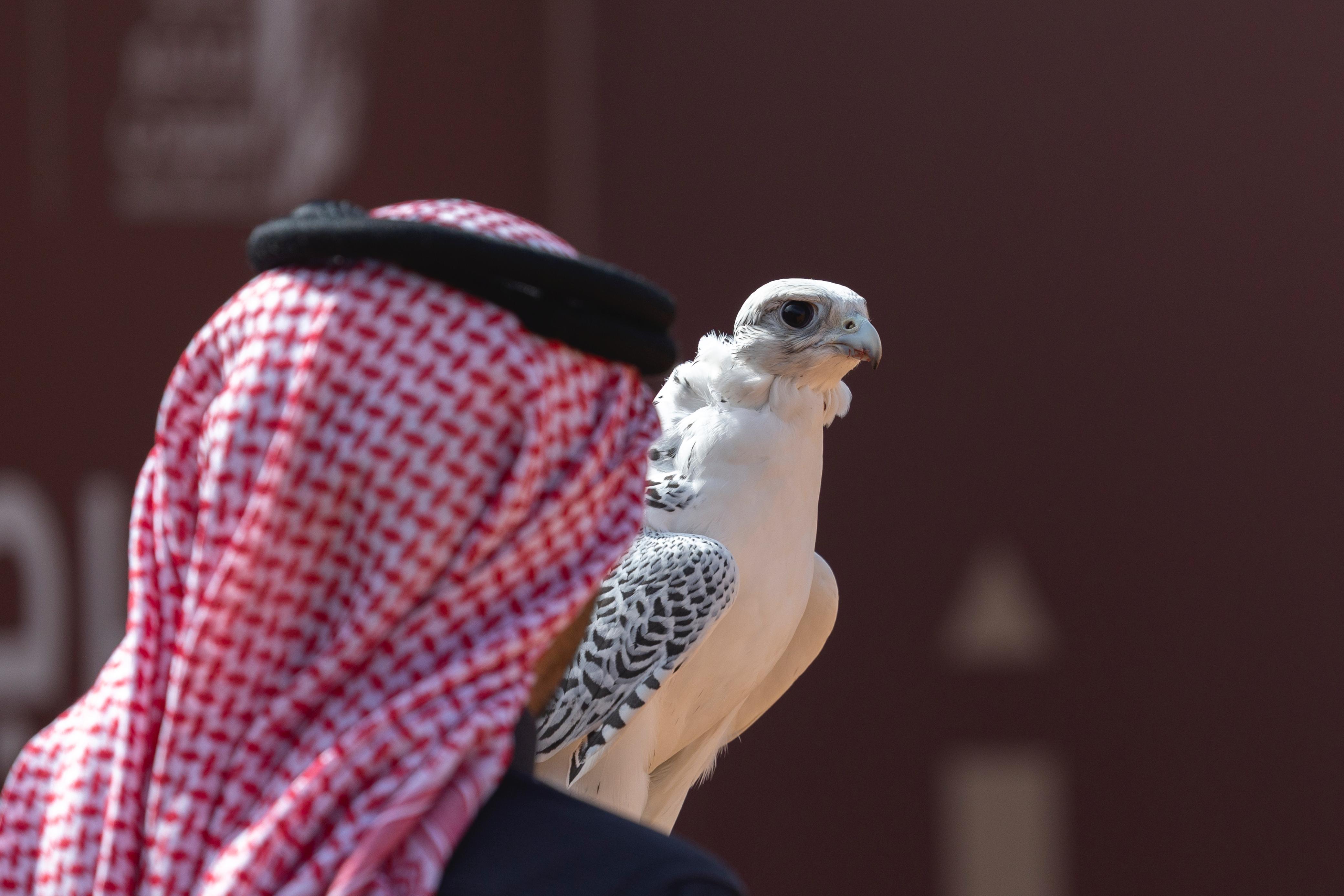 news-details-image