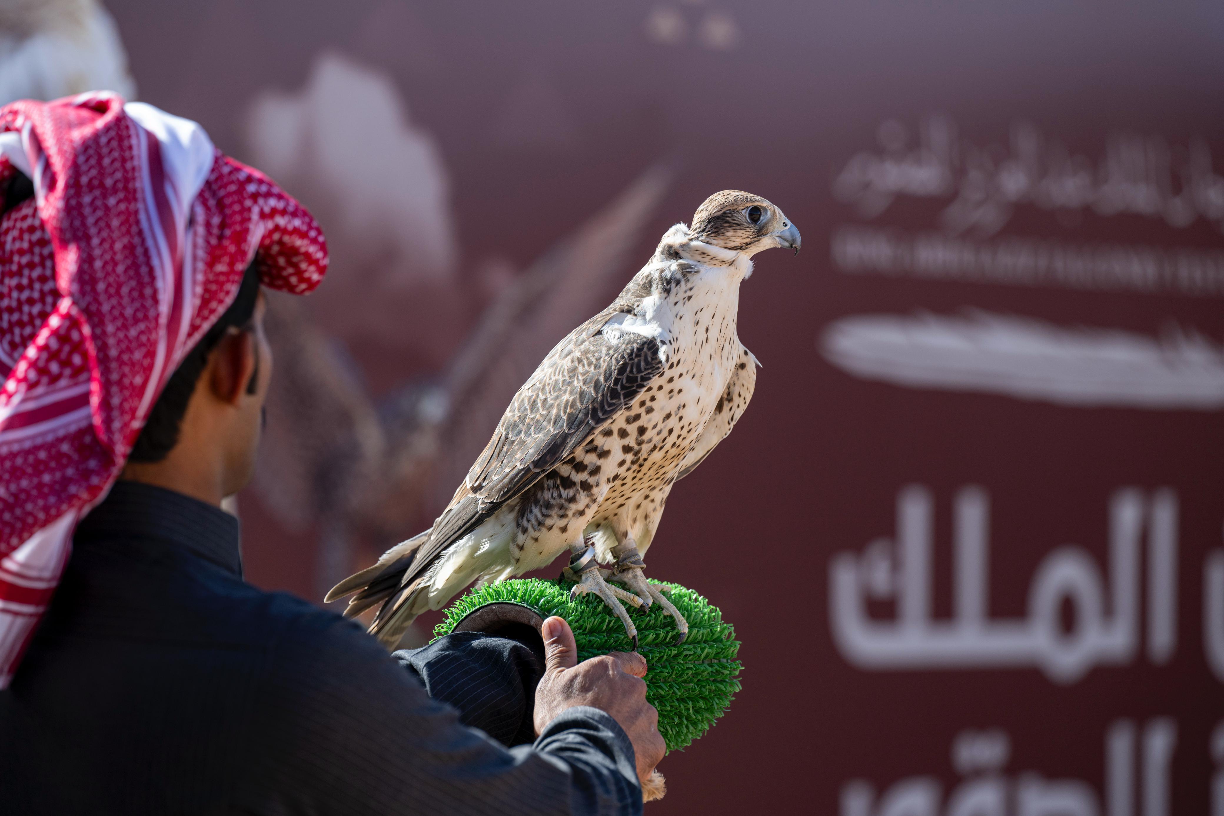 news-details-image