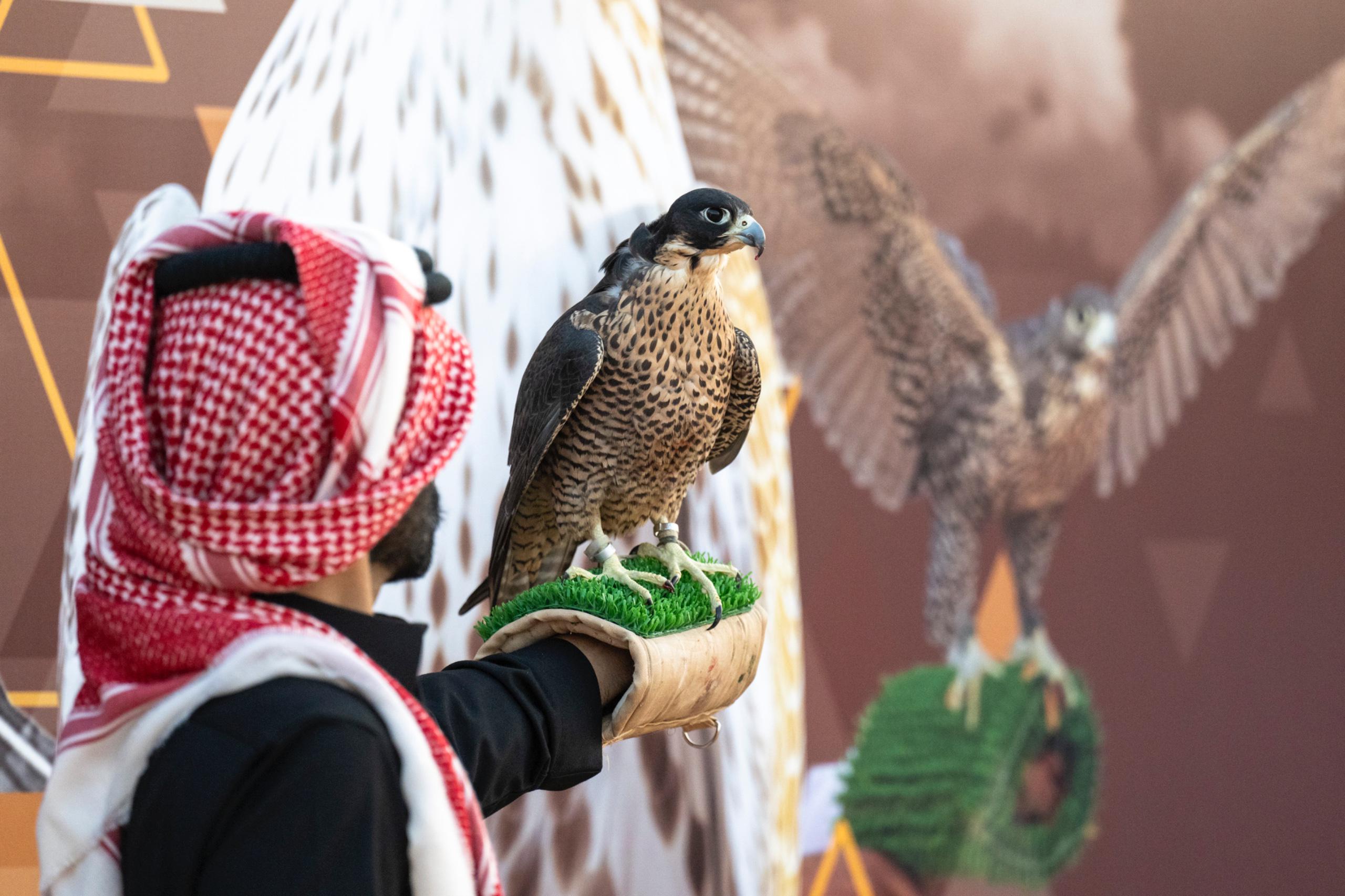 news-details-image