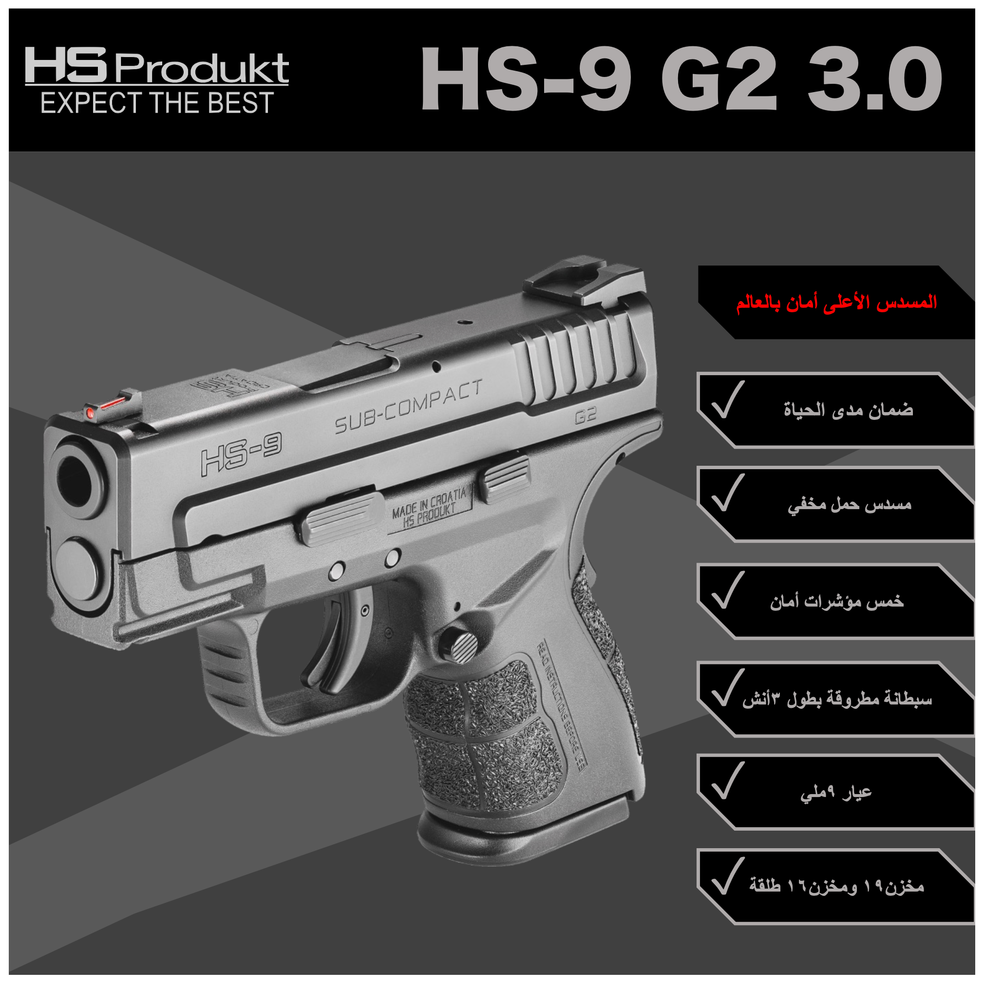 -                                                                                                                                          HS-9 G2 3.0