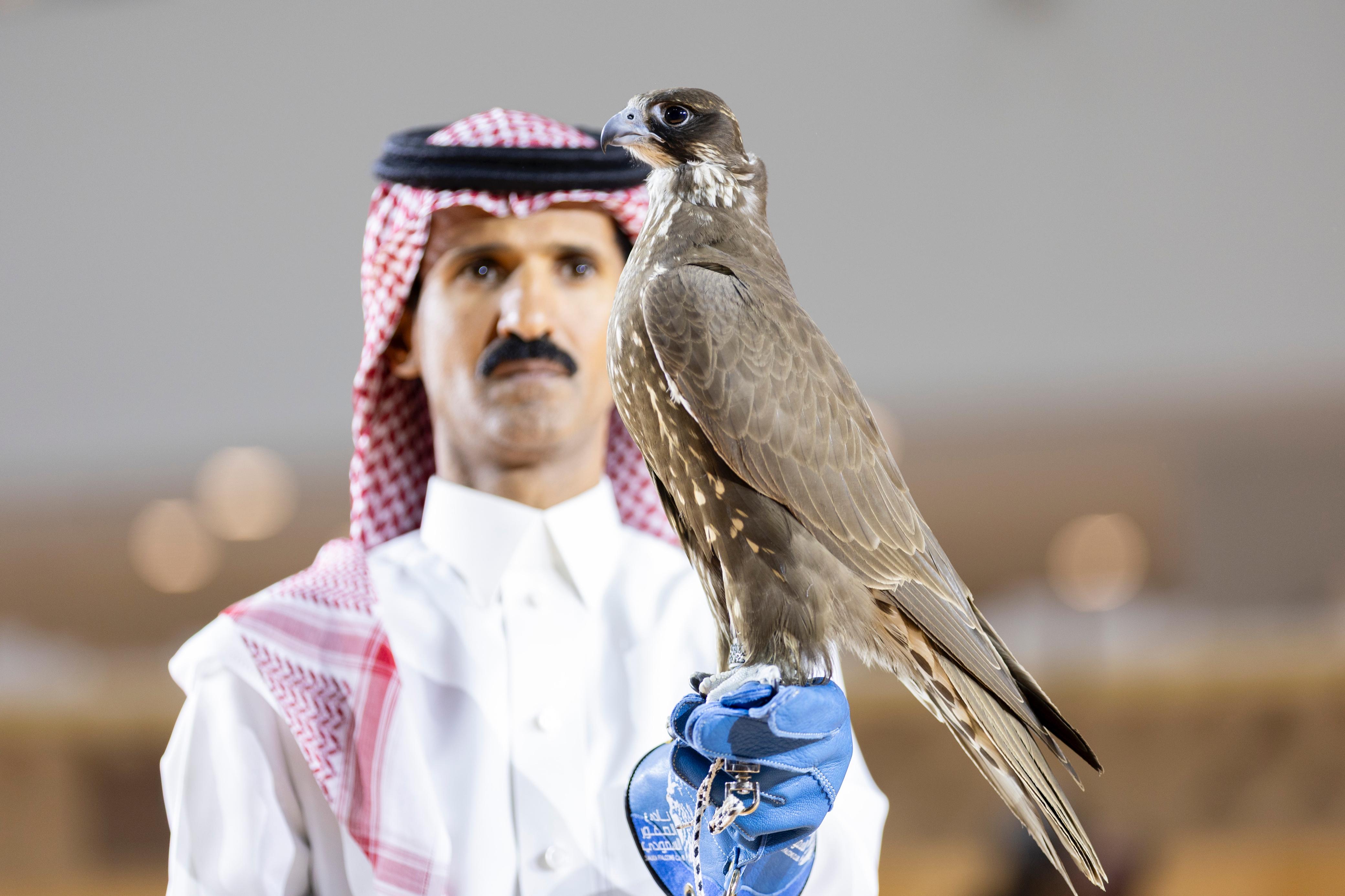 بيع صقرين بـ900 ألف ريال من منغوليا في معرض الصقور والصيد السعودي الدولي 2025