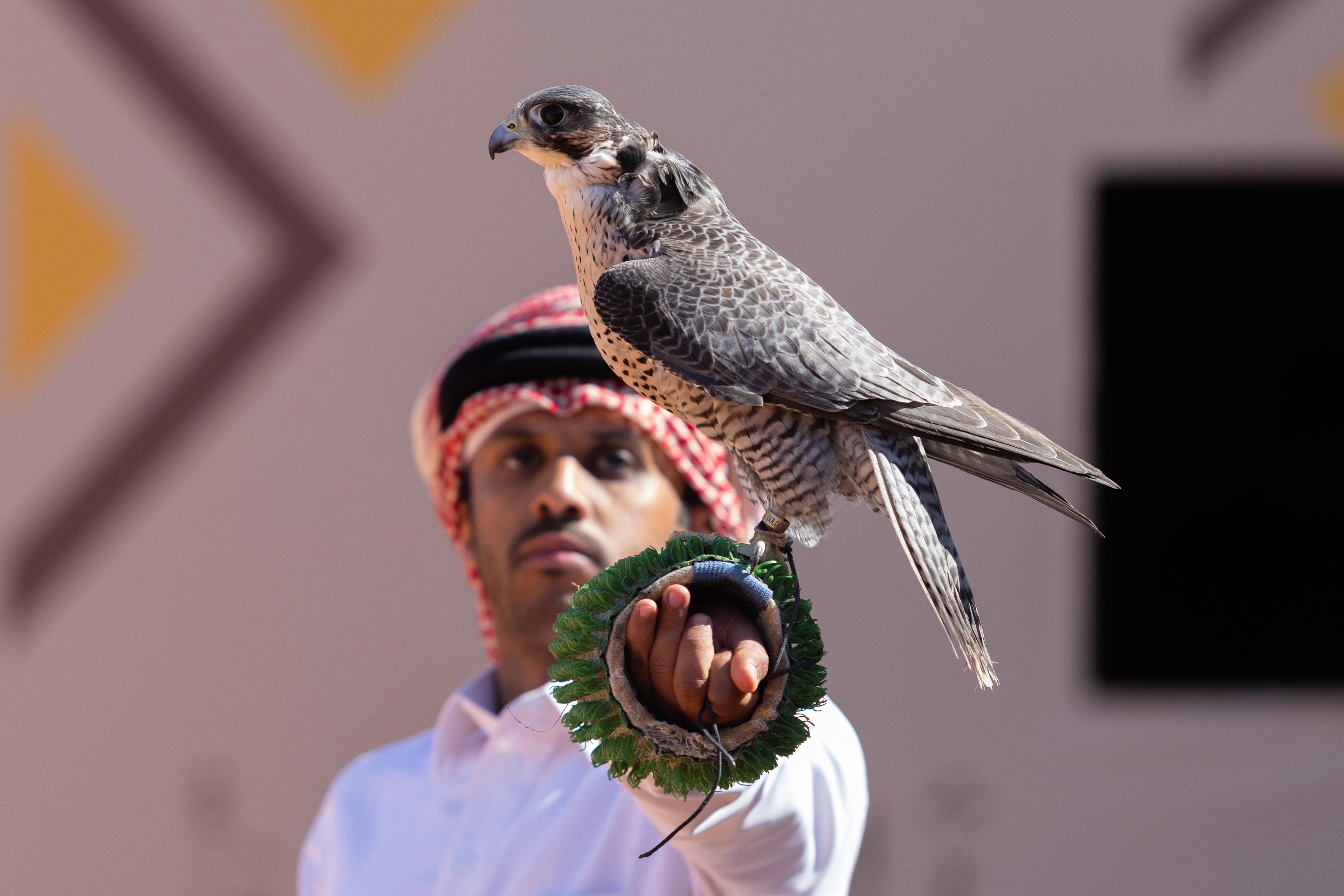 news-details-image