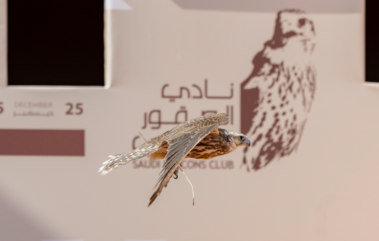 news-details-image