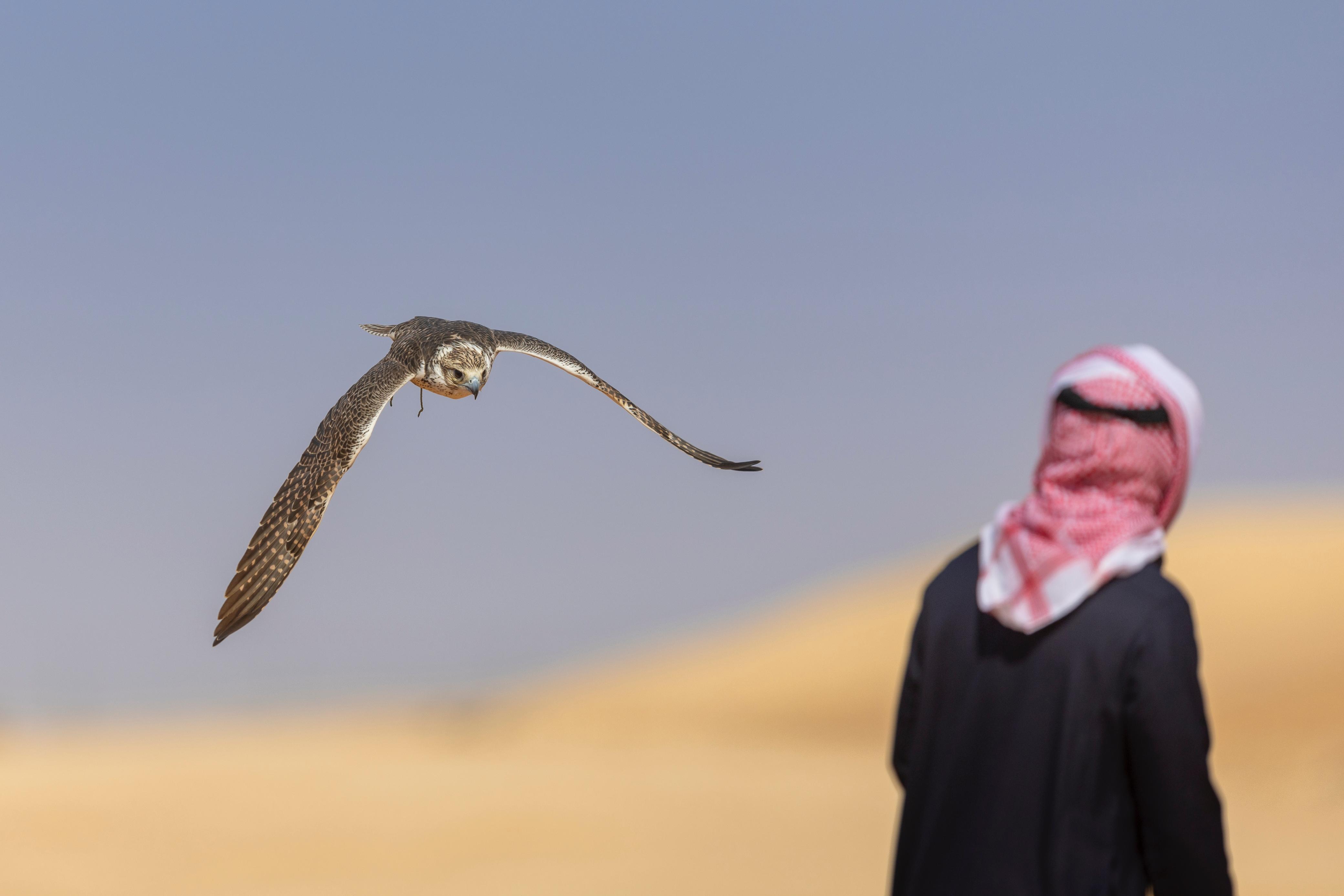 news-details-image